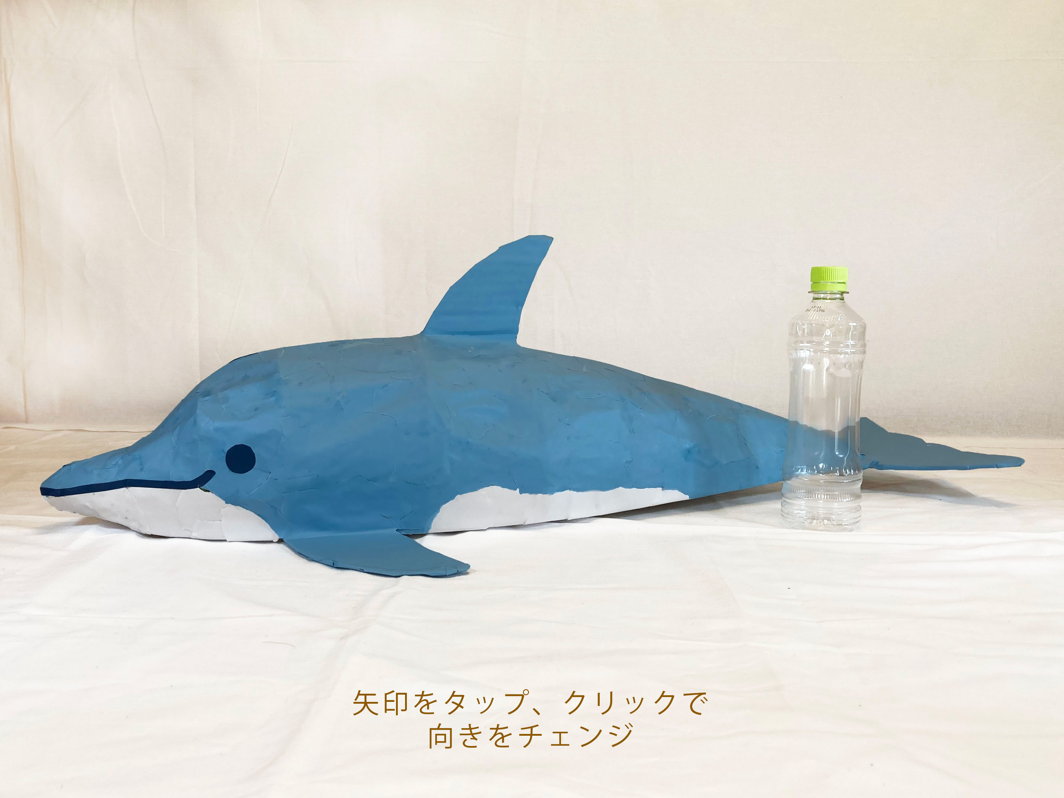 イルカ dolphin