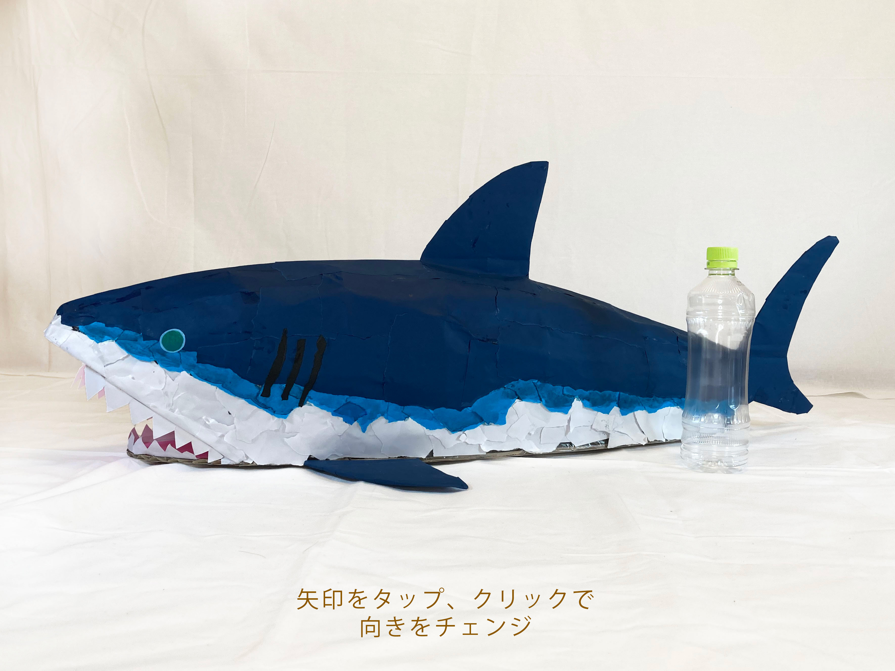 サメ shark